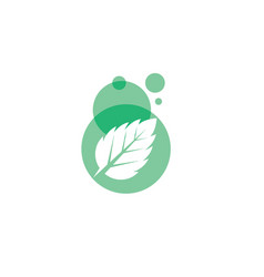 Two leaves icons Royalty Free Vector Image - VectorStock