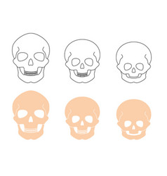 Human skull anatomy Royalty Free Vector Image - VectorStock