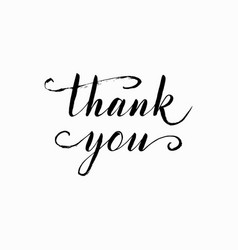 Thank you lettering hand drawn calligraphy Vector Image