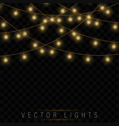 String Lights Transpa Background Vector Images Over 2 000 Xmas Glowing Garland Vector
