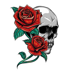 A human skull with roses on white background Vector Image