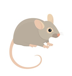 Mouse Vector Images (over 110,000)