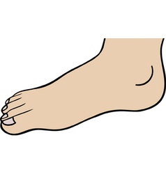 Feet Royalty Free Vector Image - VectorStock