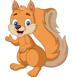 Cute squirrel sits on a white background Vector Image