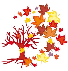 Maple leave with autumn banner Royalty Free Vector Image