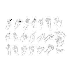 Hand with butterfly on finger line art drawing Vector Image