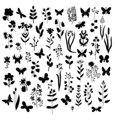 Set hand drawn flowers branches and leaves Vector Image