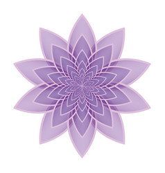 Lotus flower pink Royalty Free Vector Image - VectorStock