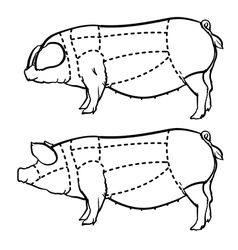 Cut of meat set Hand drawn pig Pork cuts diagram Vector Image