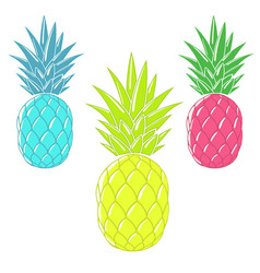 Pineapple Royalty Free Vector Image - VectorStock