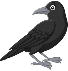 Cartoon crow flying isolated on white background Vector Image