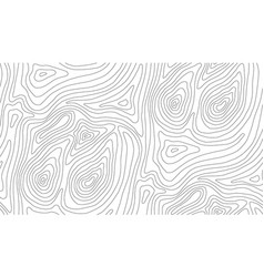 Seamless topographic map background white Vector Image