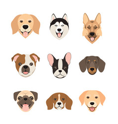 Flat style dogs collection cartoon dogs breeds Vector Image