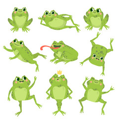 Cartoon frog Royalty Free Vector Image - VectorStock