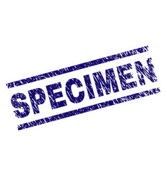 Sample Watermark Sample Watermark
