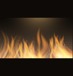 Red burning fire flame on black background Vector Image