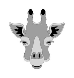 Giraffe face front view Royalty Free Vector Image