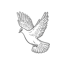 Pigeon Vector Images (over 18,000)