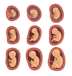 Pregnancy and birth infographics icon set Vector Image