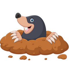 Cartoon mole come out of the hole Royalty Free Vector Image