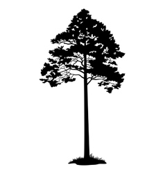 Download Pine Tree Vector Images (over 85,000)