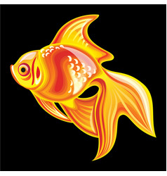 Goldfish Royalty Free Vector Image Vectorstock Goldfish Royalty Free Vector Image Vectorstock