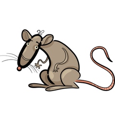 Rat cartoon Royalty Free Vector Image - VectorStock