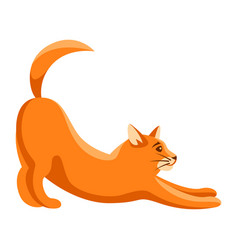 Red cute funny cat stand Royalty Free Vector Image