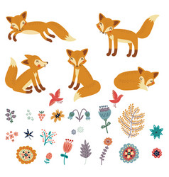 Foxes Set Royalty Free Vector Image - VectorStock