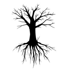 Shape of black tree without leaves Royalty Free Vector Image