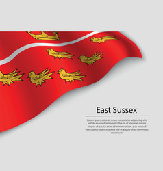 Flag of lewes in england Royalty Free Vector Image