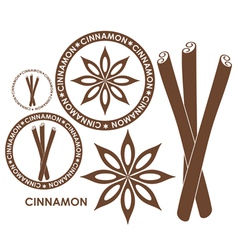 Cinnamon Royalty Free Vector Image - VectorStock