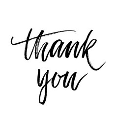 Thank you hand drawn calligraphy Royalty Free Vector Image