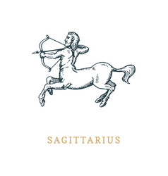 Sagittarius with bow and arrows Royalty Free Vector Image