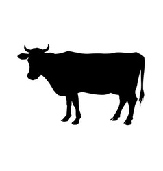 Black and white spotty cow Royalty Free Vector Image