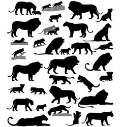 Silhouette, Lion & Cub Vector Images (43)