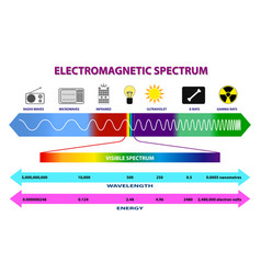 Electromagnetic spectrum diagram Royalty Free Vector Image