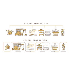 Coffee processing step by step Royalty Free Vector Image