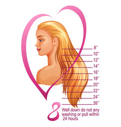 Hair growth Royalty Free Vector Image - VectorStock