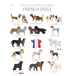 Berger Picard Vector Images 18