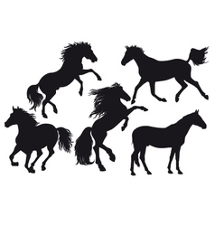 Silhouettes horses Royalty Free Vector Image - VectorStock