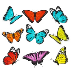 Butterfly set isolated on white realistic Vector Image