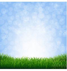 Grass border with bokeh background Royalty Free Vector Image