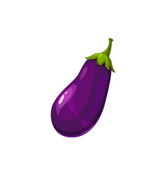 Thai eggplant green fresh realistic design Vector Image