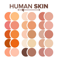 skin palette vector human chart texture tones body tone illustration realistic various creative golden nude cosmetic element graphic royalty statue