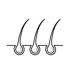 Hair Is Macro Skin Vector Images Over 110