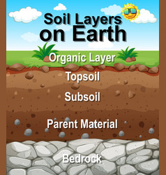 Different soil layers on earth Royalty Free Vector Image