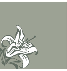 Floral blooming lilies hand Royalty Free Vector Image