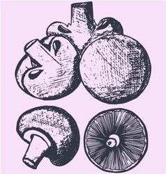 Mushrooms Vector Images (over 55,000)