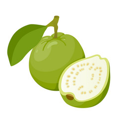 Papaya fruit icon tasty fresh tropical dessert Vector Image